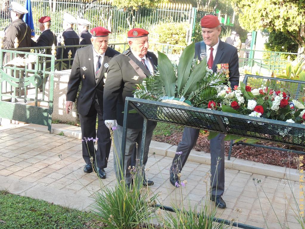 2024 12 05 TOULON HOMMAGE AUX MORTS POUR LA FRANCE EN AFN  (57).jpg